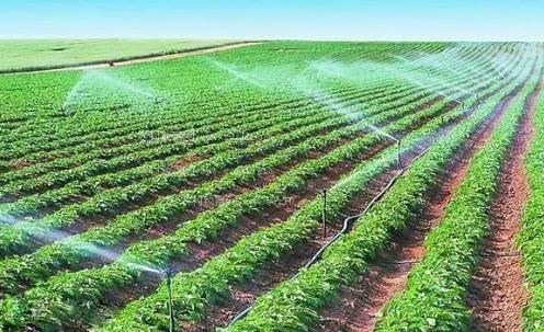 调教骚货在线观看免费视频农田高 效节水灌溉